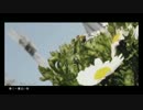 春に一番近い街　歌ってみた　【よんはち＆ミサ】