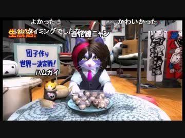 【ナマスタ！2016】雪猫カゥル自コミュ配信、決勝戦