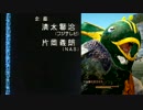 黒い砂漠　メザ盗賊団　EDテーマ　～Ｖ(緊急脱出)を信じて～