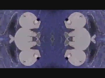 Bonobono Reflection