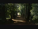 【NNI】忘れられし祠【春ニカ祭2016】