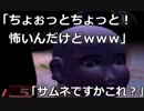 【２人実況】ピクミン２・チャレンジモードに挑むPart5（ラスト）