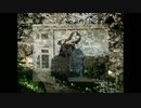 【踊ってみた】凛として咲く花の如く【オリジナル振付】