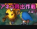 【DQB】温泉を強化して仲間を強化？アネゴ救出作戦！#47【実況】