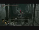 鯨が行く～「ダークソウル3」~寒い所