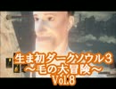 【縛り実況】生まれて初めてダークソウル３やるよ Vol.8