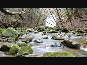 【納車】バイクで山の中を走ってきた