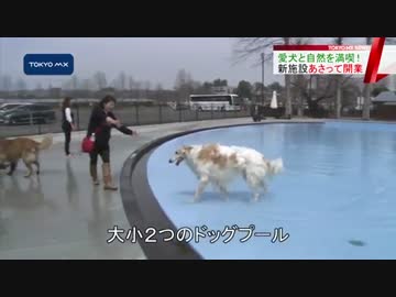 東京サマーランド隣に新施設　愛犬と一緒に自然を満喫！