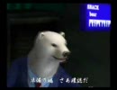 くまうた　（329）　「そっくりさん後」　唄：嵐山クマ男