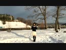【ものさん！】ハイドアンド・シーク　踊ってみた　【雪国】