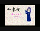 桜の季節ですので千本桜歌ってみた