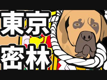 東京で弱肉強食トーキョージャングル実況プレイ【17】