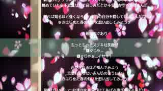 大きな桜の木の下で / NAOKI MAKABE