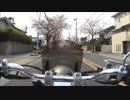 【ゆっくりマグナ５０】2016版　桜を求めて！【名古屋市内ぐるぐるしたの