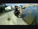 【にしやんFC】南知多の釣堀で釣ってきた 後編