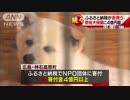 ふるさと納税が“命救う”　野良犬保護に4億円超