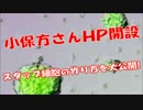 小保方さんがHPを開設しスタップ細胞の作り方を大公開！！