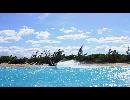 My Video