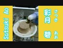 主に頭上から観察