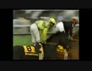 サンデーサイレンス 重賞全レース