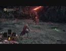 【ダークソウル3】 初期レベ(SL8) VS 王たちの化身 Ng+0