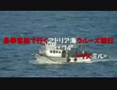 豪華客船で行くアドリア海クルーズ旅行　Part14　*イズミル*
