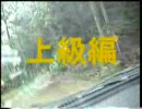 いぬの成長