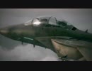 【ACE6】ガルーダ隊の軌跡 ミッション15後編【リアルタイムプレイ】