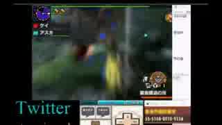【ニコ生】獰猛化イビルジョーをペアニャンターでクリアpart2