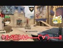 ゆっくり橙の弾幕ごっこ～ＣＯＤ：ＢＯ３編「愛犬」
