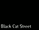 【オリジナル曲】Black Cat Street