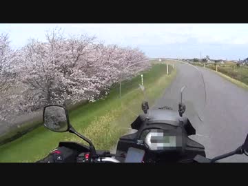 【V-stromで行く！】Part22.針テラスに行ってきました