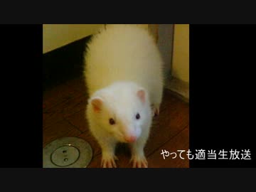 やってもの適当生放送アーカイブ動画　その２５