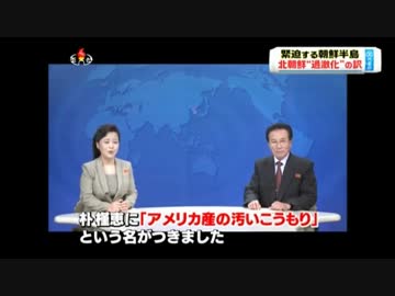 朴槿恵大統領を煽る北朝鮮のテレビ