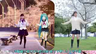 小林幸子歌Ver「桜ノ雨」【初音ミク+卒業生+足太ぺんた】合わせてみた