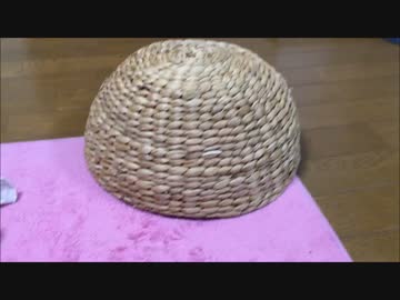 ミミックの食事シーン