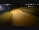 Y氏　心霊お花見配信中に女性らしき不可解な声?が入る