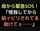母から緊急SOS！ 「怪我してから姑イビリされてる助けてぇ……」【2ch】