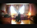ベビーメタル - 空手踊ってみた BABYMETAL KARATE【ドリーももいろ】 Dolly Momoiro