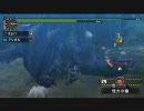 モンスターハンター2ndG　ハンマーでナルガクルガ
