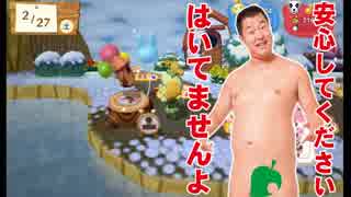 【2人実況】どうぶつの森amiiboフェスティバルをプレイするよ～ん part26