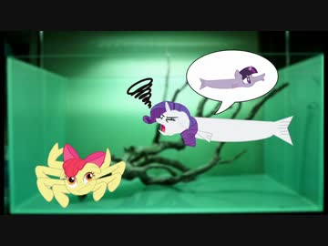 婚活魚類おばさん２