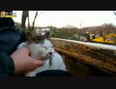 ミニサバシロを抱っこ