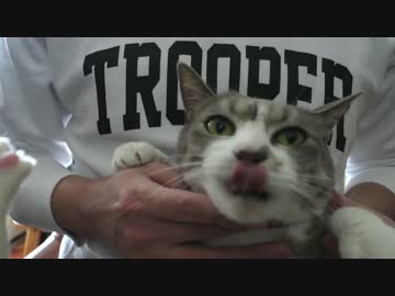 【モアクリ】 HP・MP回復中