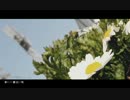 【シズミ】春に一番近い街【明るく歌ってみた】