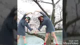 【初投稿】やるやる詐欺踊ってみた~うぉん！~