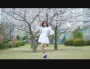 【ぽぅたん】 ハルイチ。 桜の前で 【踊ってみた】