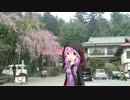 時代を先取り！！秩父ツー【結月ゆかり車載】