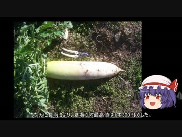 ゆっくり農民29ジャガイモ(春)を育ててみませんか？＃2