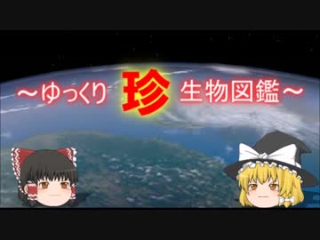 ～ゆっくり　珍　生物図鑑～　新・第29回